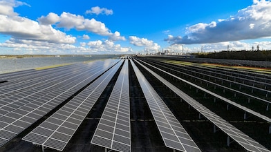 Shell Chemicals Park Moerdijk