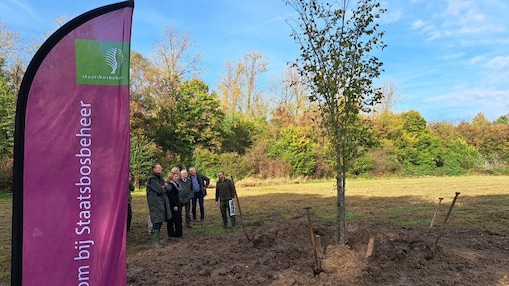 Boom planten in Klundert