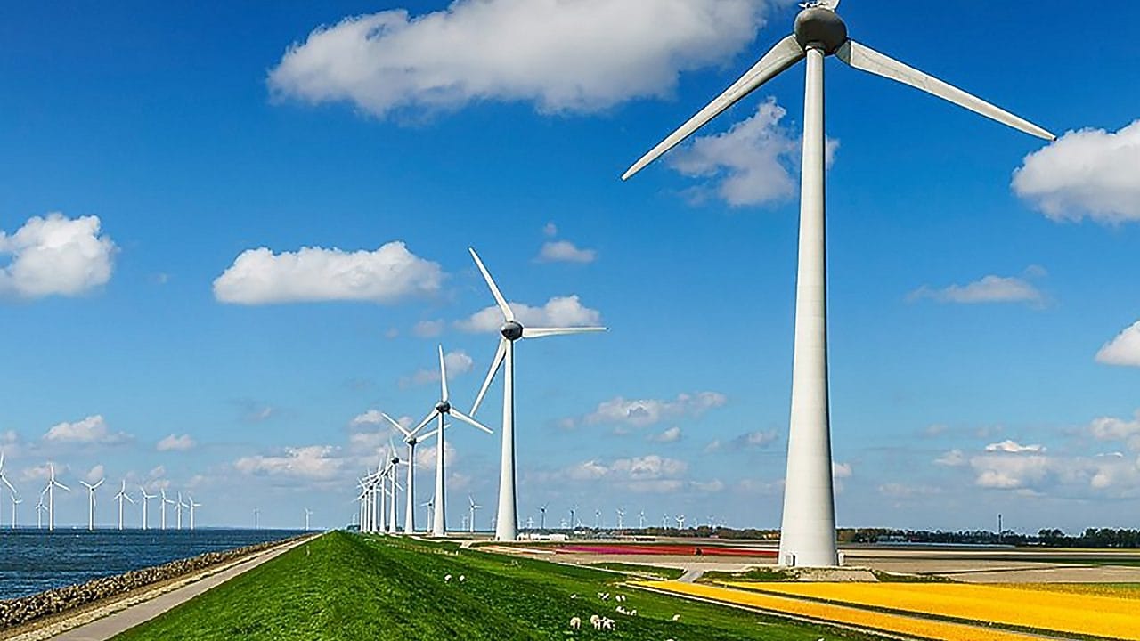 Windmolens en bloembollen