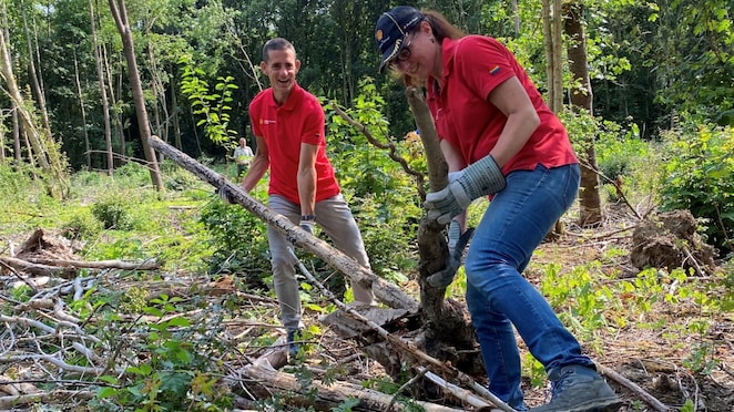 Shell-medewerkers ruimen samen de Groenstrook in Klundert op.