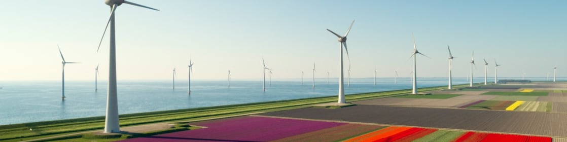 Wind turbines and flower fields of the Netherlands