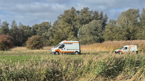 De dierenambulances met de reeën arriveren op 26 oktober op het terrein van Shell in Moerdijk (Foto: Shell Chemicals Park Moerdijk)