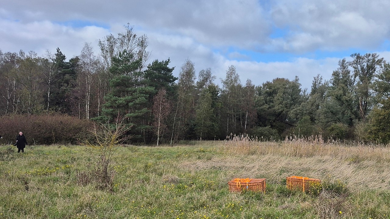 De manden met de reeën in het hoge gras (Foto: Shell Chemicals Park Moerdijk)