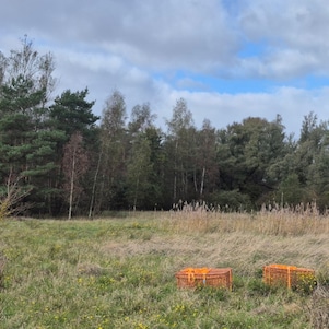 De manden met de reeën in het hoge gras (Foto: Shell Chemicals Park Moerdijk)