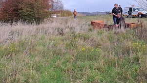 Medewerkers van de dierenopvang laten de reeën los op het Shell-terrein in Moerdijk (Foto: Shell Chemicals Park Moerdijk)