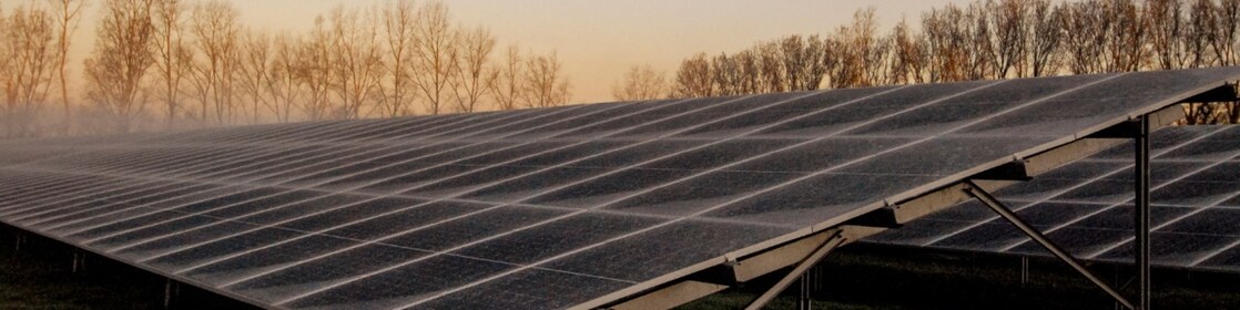 Zonnepark Sas van Gent-Zuid (Foto: Wendel Broere)
