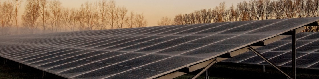 Zonnepark Sas van Gent-Zuid (Foto: Wendel Broere)