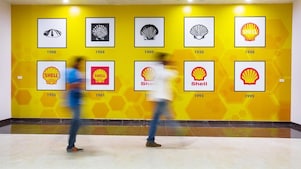 Shell-pectens met jaartallen op de muur