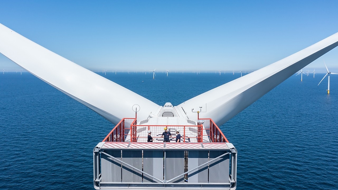 Windmolens en bloembollen