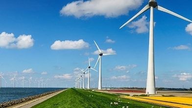 Windmolens en bloembollen