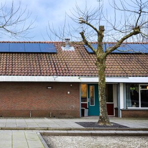 De petanquevereniging heeft  nog dak 'over' voor coöperatieve zonnepanelen (Foto: Jiri Büller)