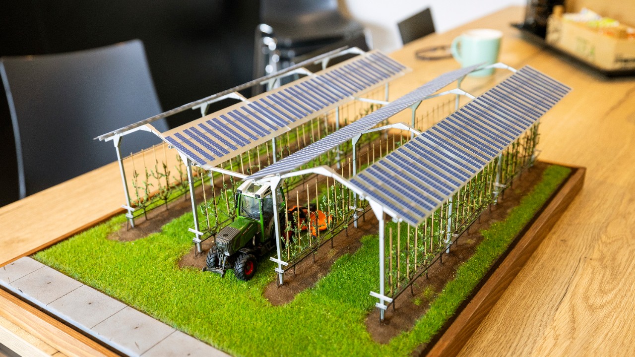 Vanuit het aanpalende boerenwoonhuis haalt hij een maquette van het zonnepanelenproject tevoorschijn. Een van zijn zaterdagkrachten heeft deze gemaakt, een scholier nog, met hulp van 3D-printer. De teler uit Papendrecht is ermee in zijn nopjes. “Die kan ik meenemen naar beurzen. Je kunt erover vertellen, maar mensen moeten het zien om te geloven.”