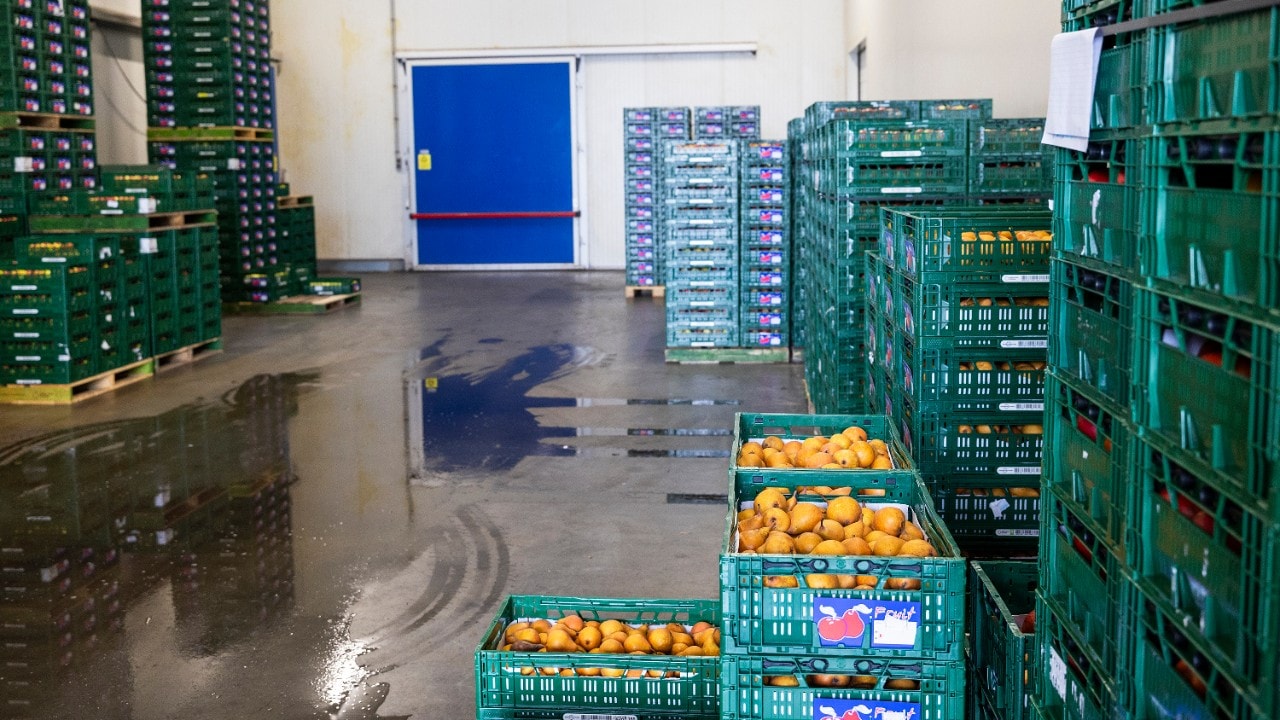 Perengoed (Foto: Jiri Büller)