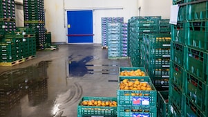 Perengoed (Foto: Jiri Büller)