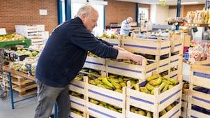 Met zijn grote handen ordent Van Os de mooiste peren in de bak (Foto: Jiri Büller)