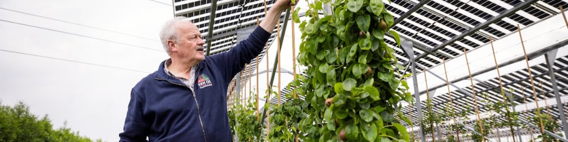 Fruitteler Johan van Os (Foto: Jiri Büller)