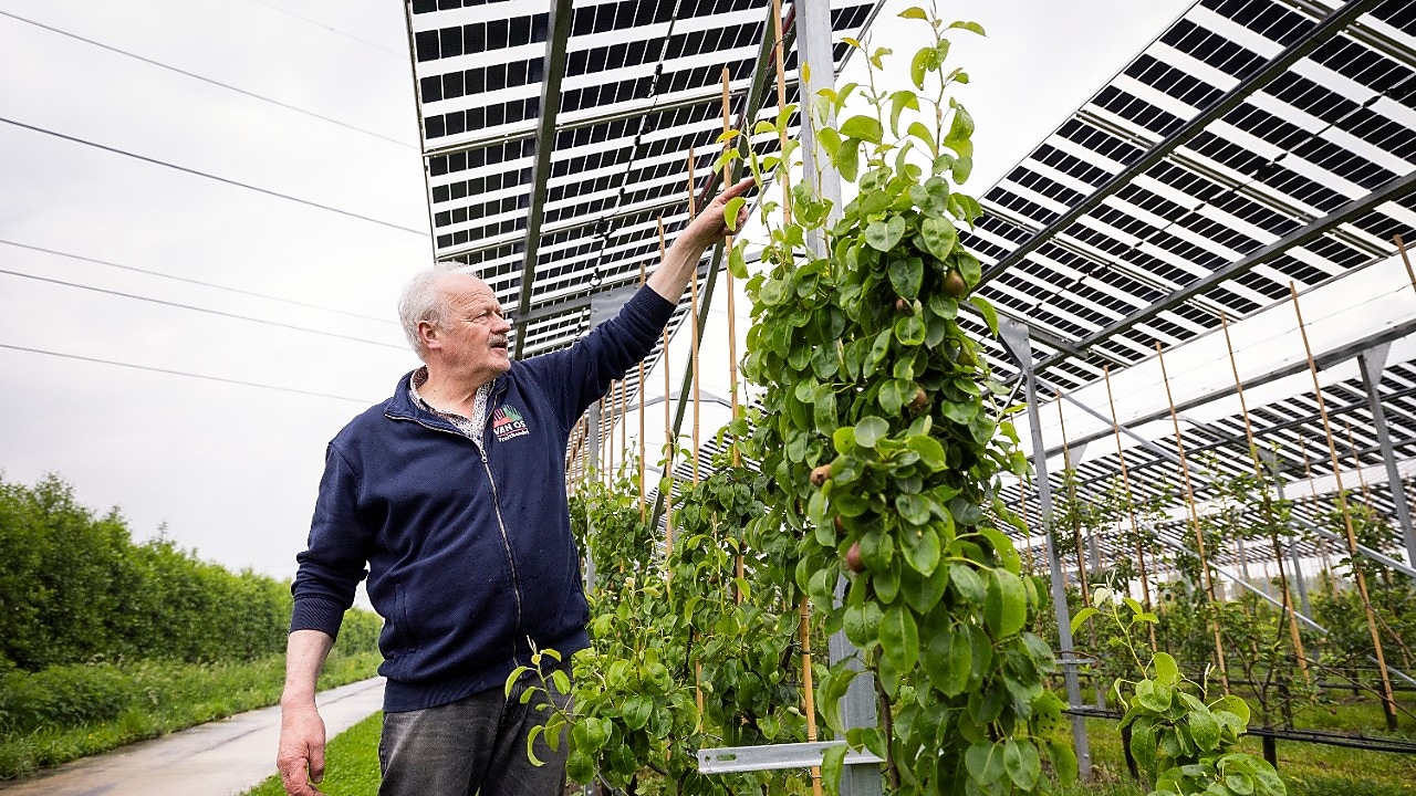 Fruitteler Johan van Os (Foto: Jiri Büller)