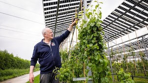 Fruitteler Johan van Os (Foto: Jiri Büller)