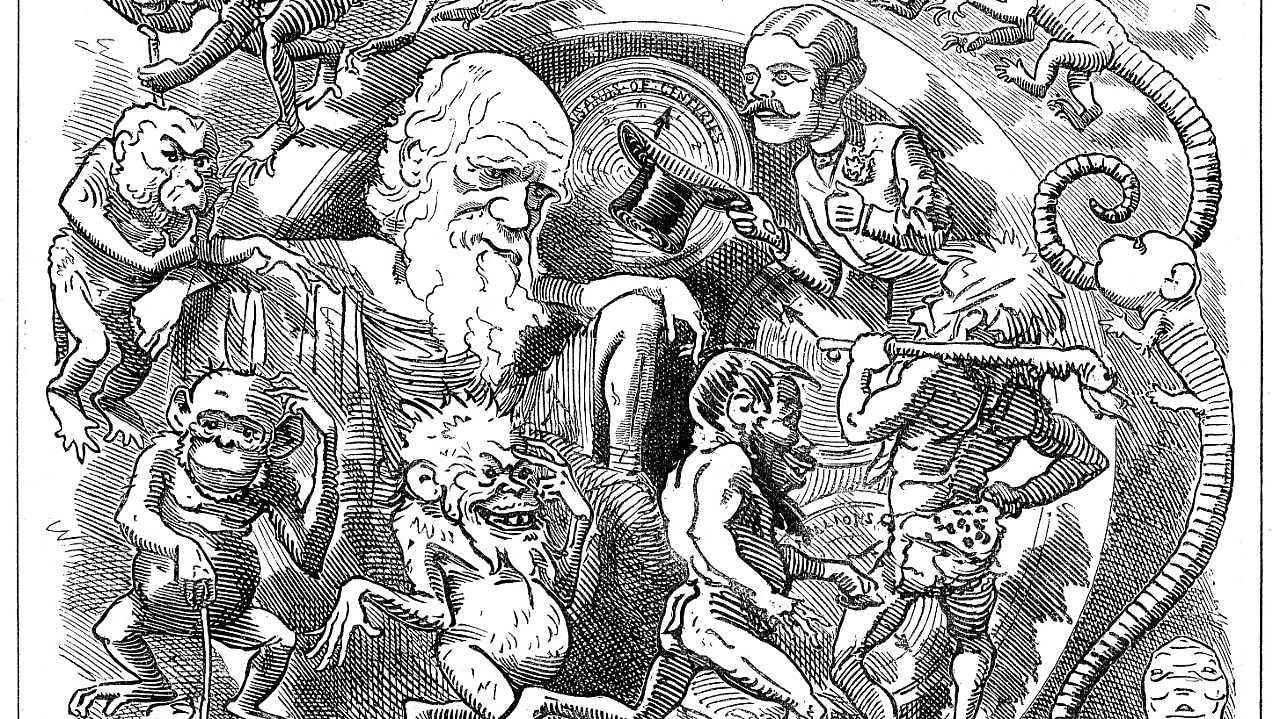 Peristaltiek (Foto: Getty Images)