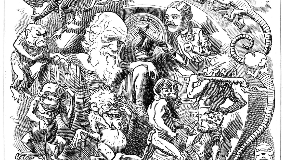 Peristaltiek (Foto: Getty Images)