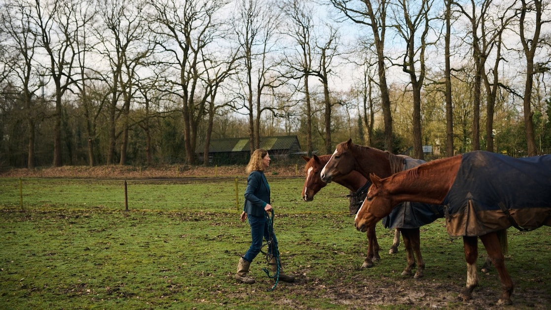 Margriet Kuijper thuis met paarden