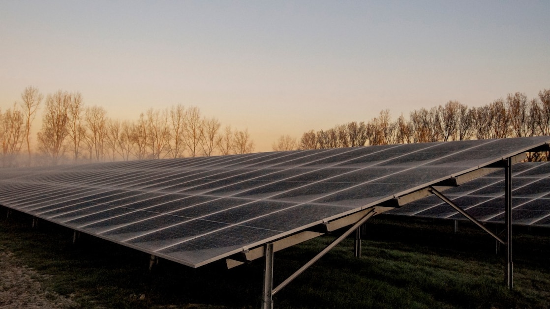 Zonnepanelen op het Shell-zonnepark Sas van Gent-Zuid (Foto: Wendel Broere)