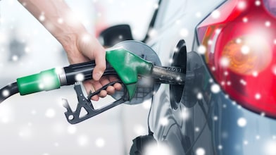 Winterbenzine (Foto: AdobeStock)