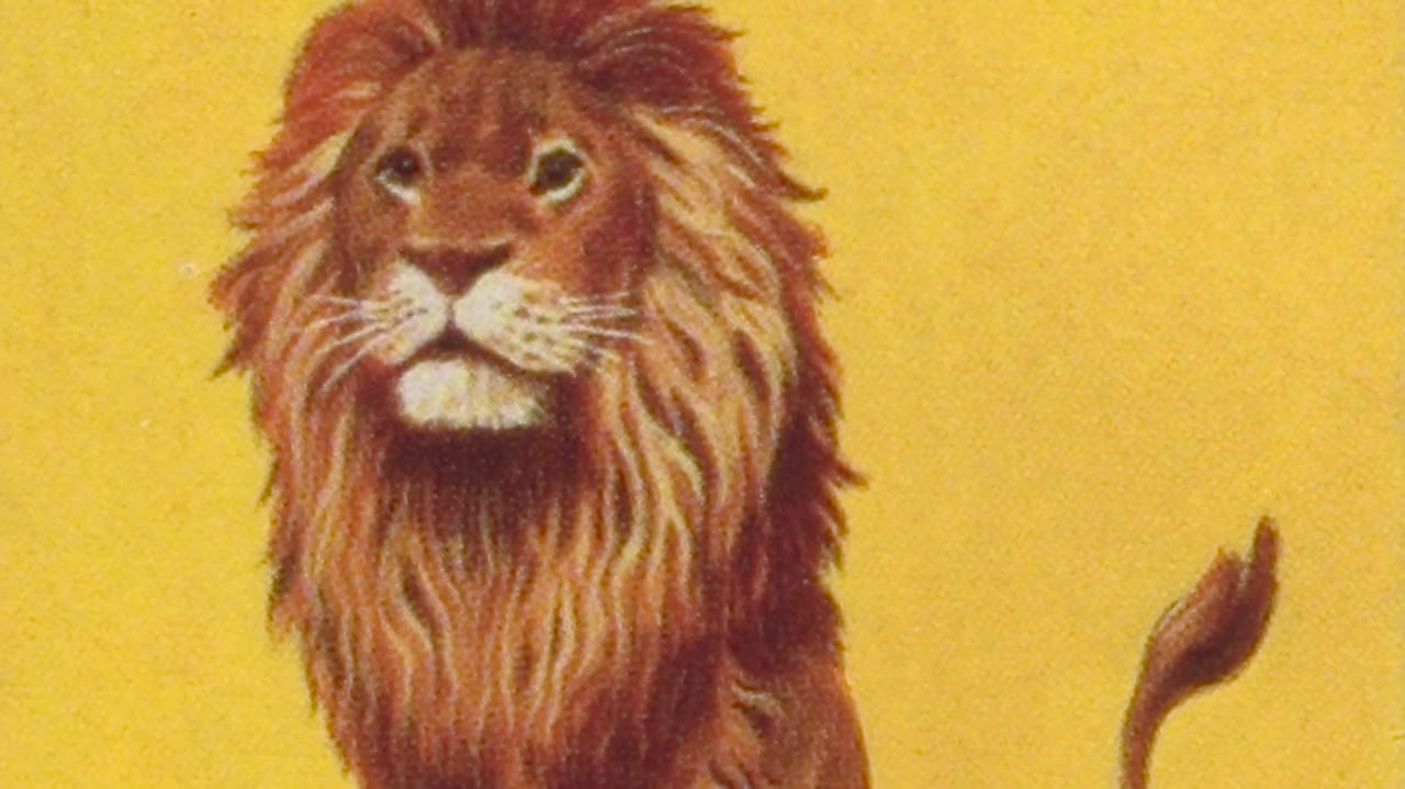 Afbeelding leeuw tegen een gele achtergrond