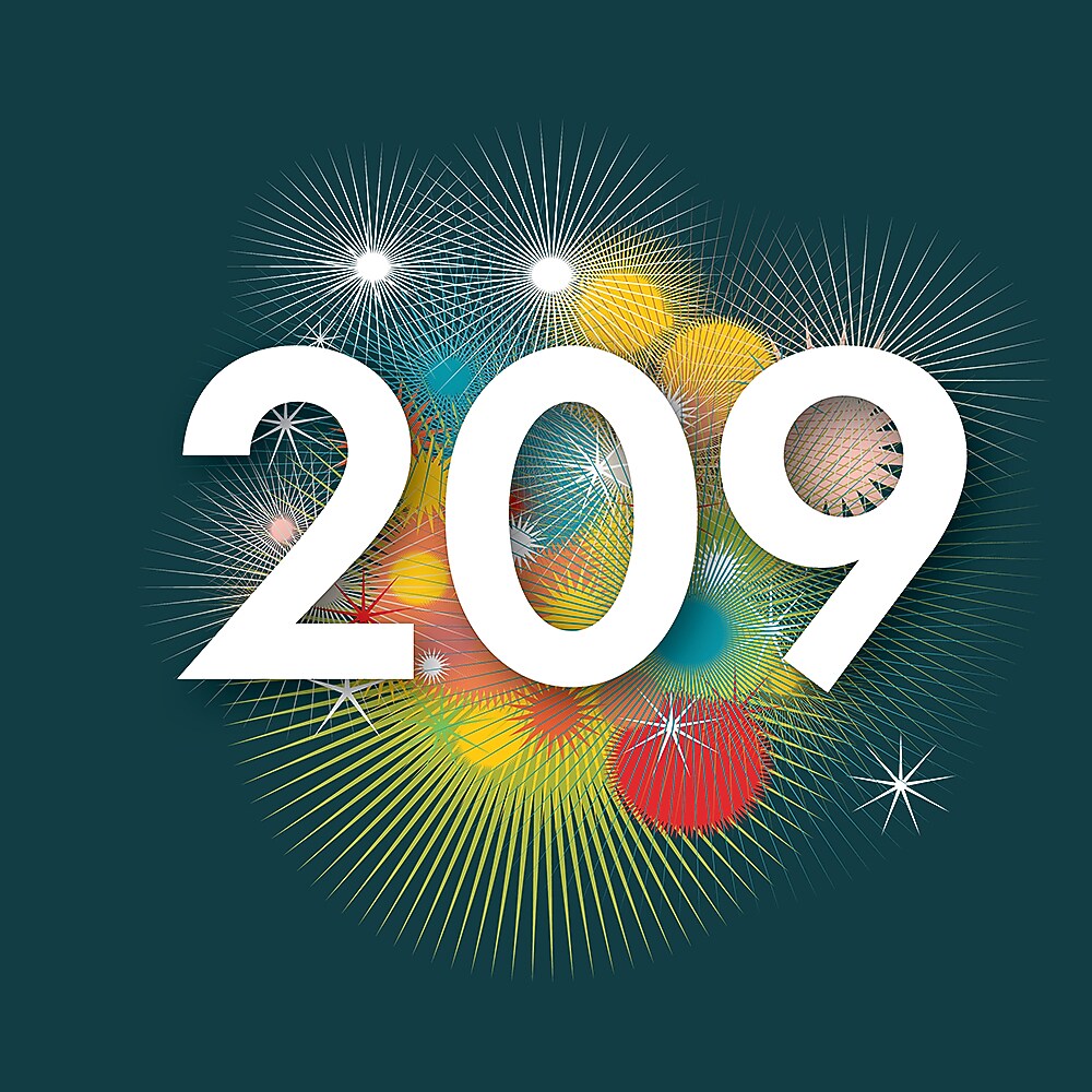 Het getal 209 (Beeld: Jelle Hoogendam)