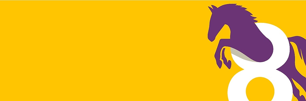 Het getal 8 en een paard (Beeld: Jelle Hoogendam)