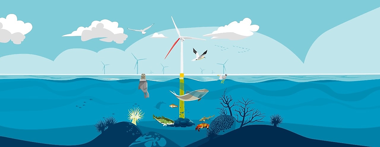 Artist impression of wind farm Hollandse Kust West (Ecowende) (Image: Jelle Hoogendam)
