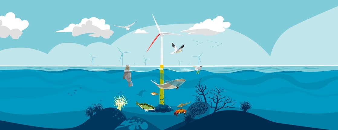 Artist impression of wind farm Hollandse Kust West (Ecowende) (Image: Jelle Hoogendam)