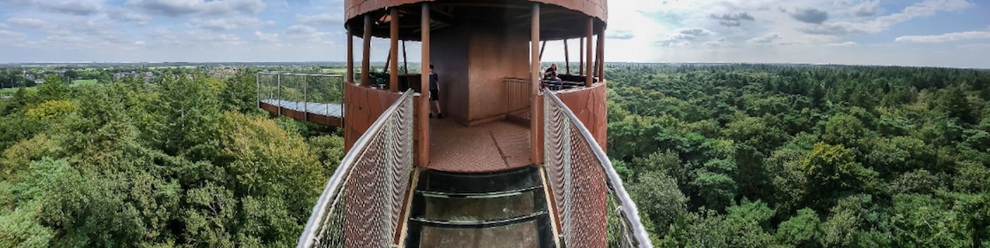 De Bosbergtoren bij Appelscha, met uitzicht op het Natura 2000-gebied Drents-Friese Wold & Leggelderveld (Foto: Marcel Burger)