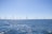 Windpark Borssele III/IV van Blauwwind (joint venture inclusief Shell) voor de kust van Zeeland (Foto: Shell International)