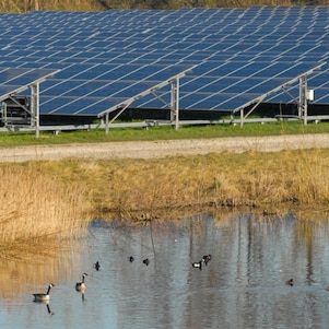 De vijver met watervogels en zonnepanelen van Sas van Gent-Zuid, begin 2022 (Foto: Wendel Broere)