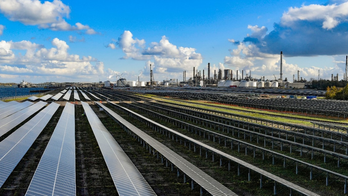 Shell's solar farm Moerdijk, with the skyline of the chemicals park in the background, 2019 (Photo: Shell Nederland)