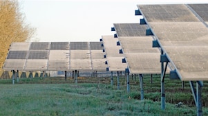 Shell-zonnepark Sas van Gent-Zuid (Foto: Wendel Broere)