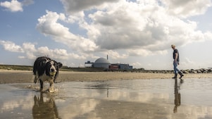 Een hond en een wandelaar op het strand bij de kerncentrale van Borssele (Foto: ANP/Hollandse Hoogte/Manon Bruininga)