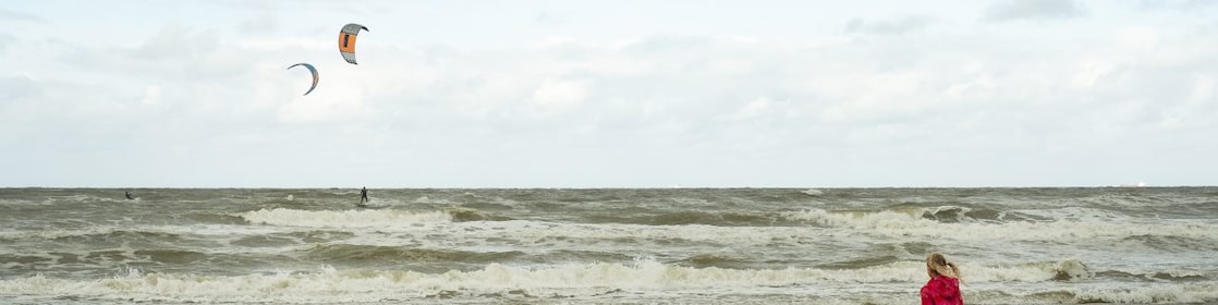 Gejaagd door de wind