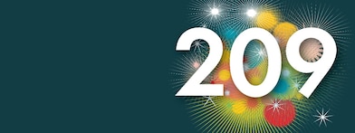 Het getal 209 (Beeld: Jelle Hoogendam)