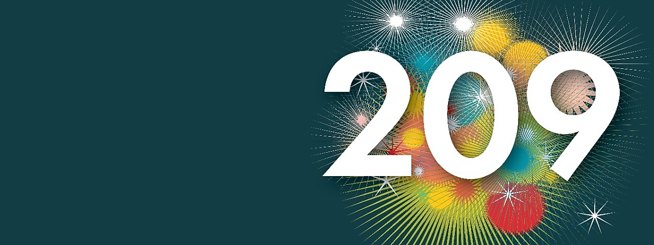 Het getal 209 (Beeld: Jelle Hoogendam)