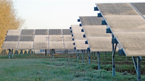 Shell-zonnepark Sas van Gent-Zuid (Foto: Wendel Broere)