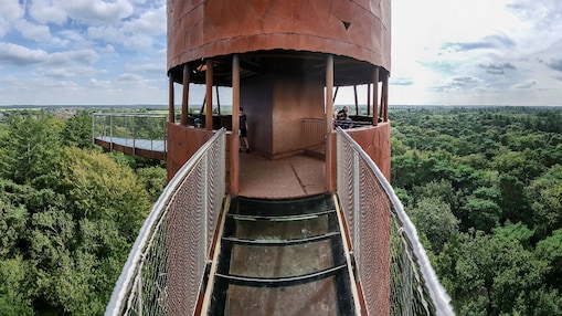 De Bosbergtoren bij Appelscha, met uitzicht op het Natura 2000-gebied Drents-Friese Wold & Leggelderveld (Foto: Marcel Burger)