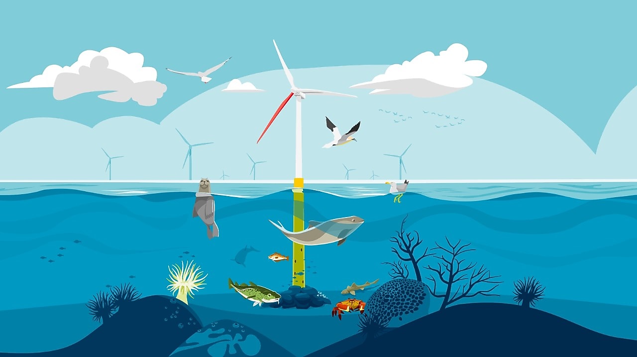 Visuele weergave van Ecowende (Beeld: Jelle Hoogendam)