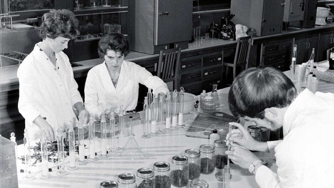 Vrouwen in het Shell-testlab, midden vorige eeuw (Foto: Shell Heritage & Historical Archive)