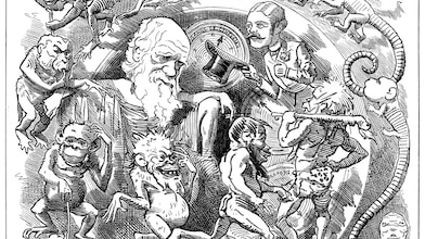 Peristaltiek (Beeld: Getty Images)