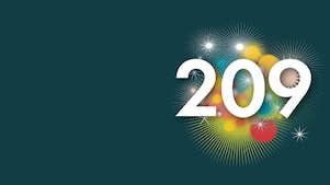 Het getal 209 (Beeld: Jelle Hoogendam)