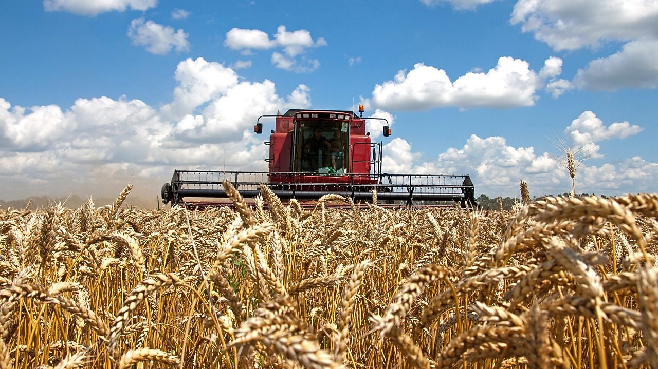A harvester in a field.
