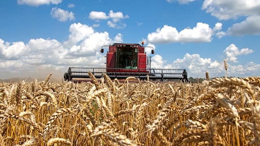 A harvester in a field.