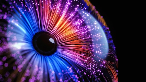 Retina